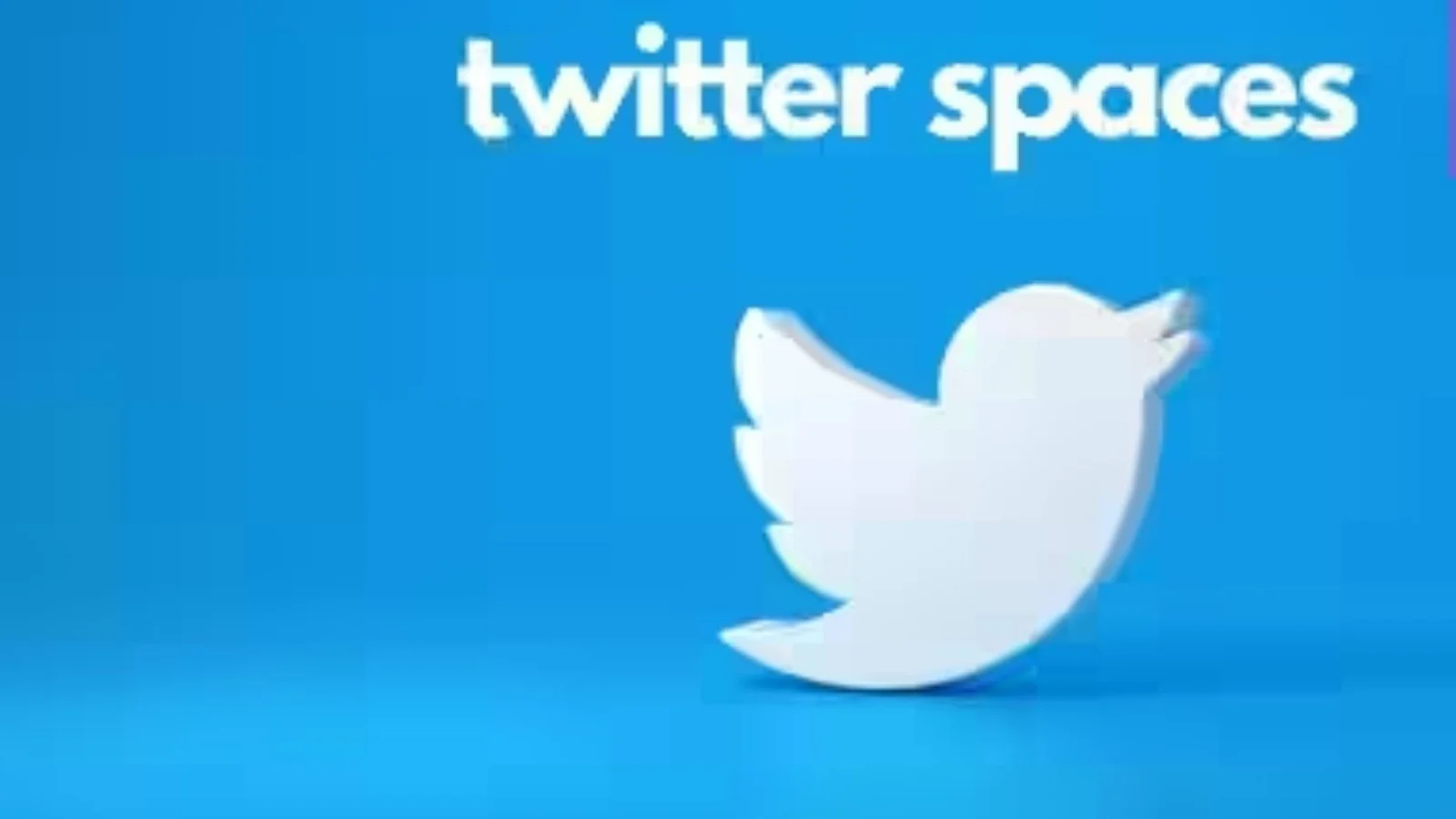 Entering the social media space is Twitter.now, a new platform focusing on trust and user control