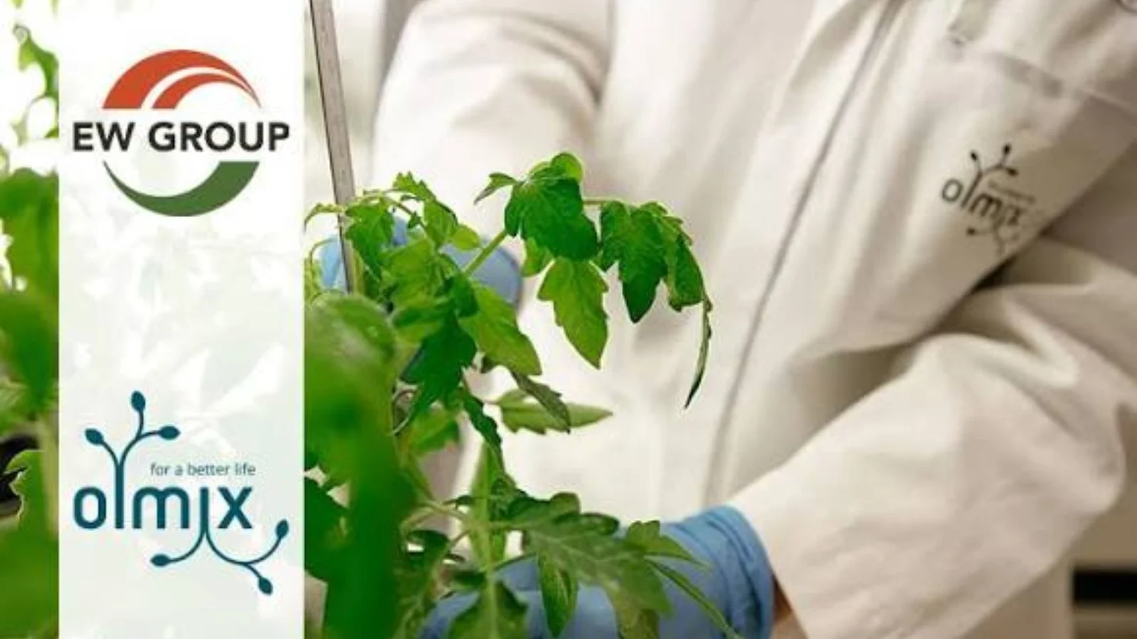 Olmix gets acquired by EW Group, stepping into sustainable animal and plant nutrition